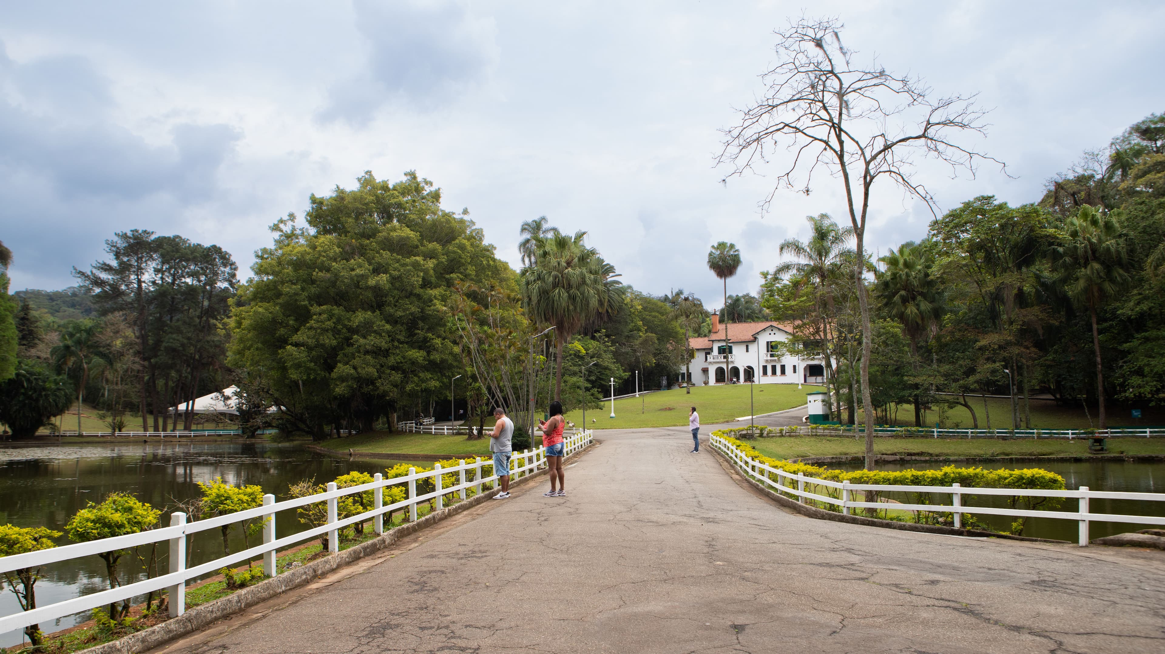 Urbia anuncia agenda da semana com sessão especial de Dia das Bruxas no Planetário Ibirapuera e aulão de dança Flashback no Horto Florestal